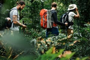 Turismo Ecológico na Riviera de São Lourenço